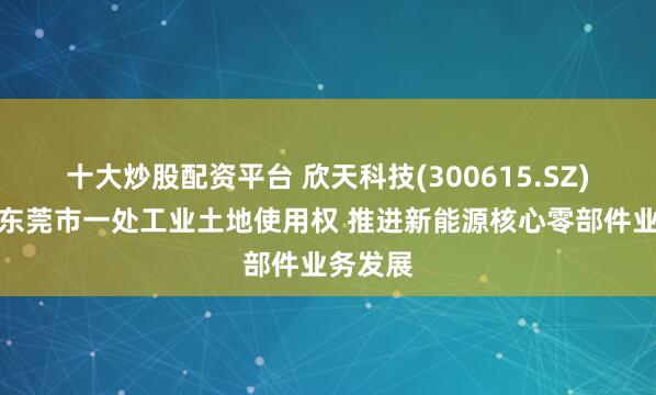 十大炒股配资平台 欣天科技(300615.SZ)拟购买东莞市一处工业土地使用权 推进新能源核心零部件业务发展