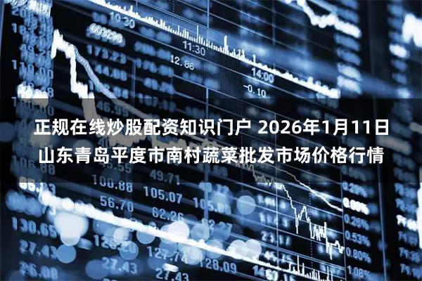 正规在线炒股配资知识门户 2026年1月11日山东青岛平度市南村蔬菜批发市场价格行情